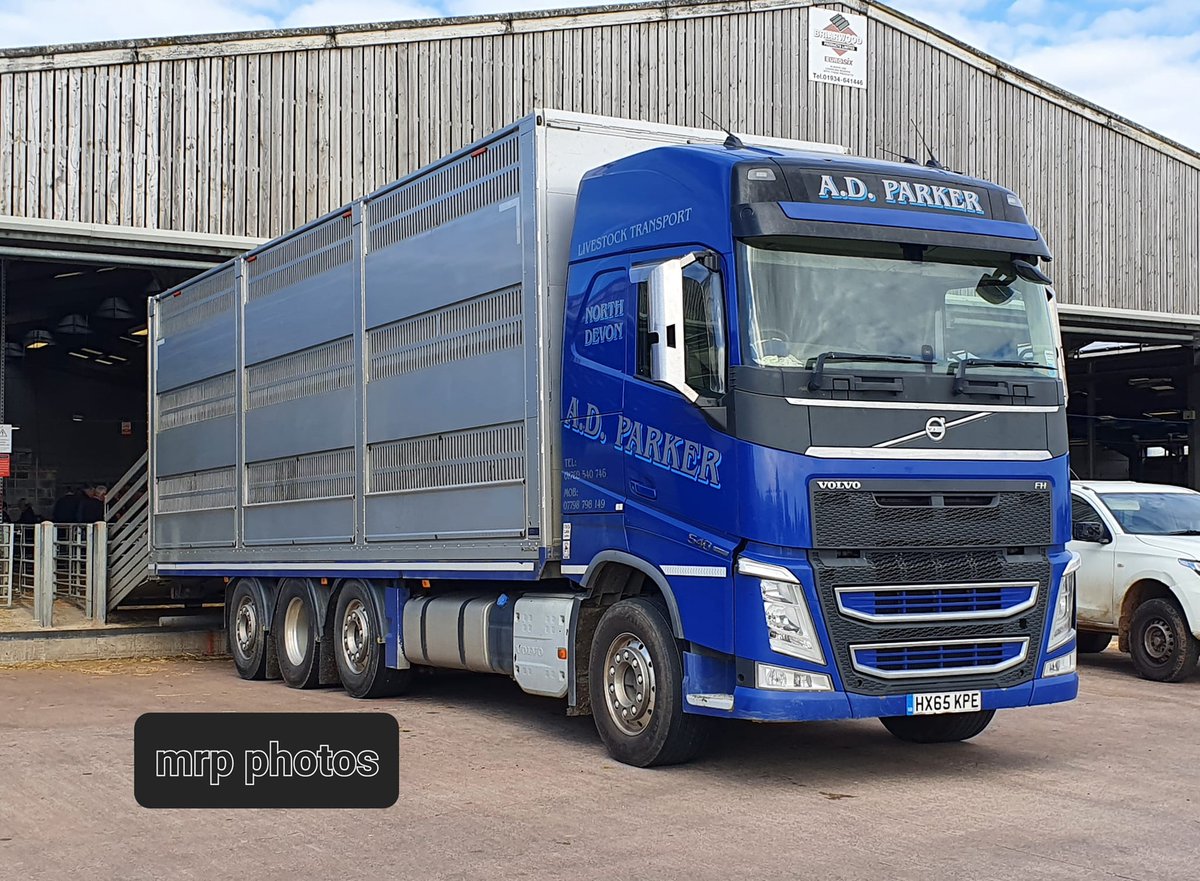A.D. Parker's 3 Deck Platinum Livestock Transporter spotted at Sedgemoor Auction Centre.

📷by Michael Pitts

#houghtonparkhouse #livestock #livestocktransport #livestocktrailer #livestockmarket #ADParker