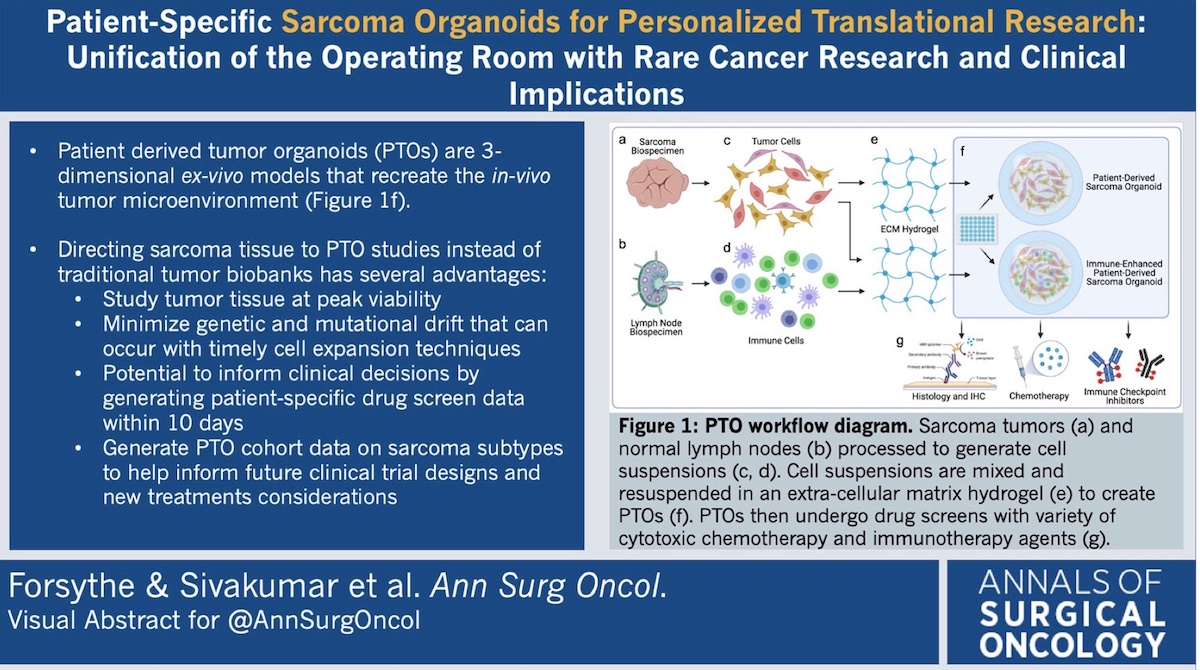 Patient-Specific #SarcomaOrganoids for Personalized #TranslationalResearch : Unification of the Operating Room with #RareCancerResearch and Clinical Implications @StevenDForsythe  @WFIRMnews rdcu.be/cW2L7 #VisualAbstract @McMastersKelly