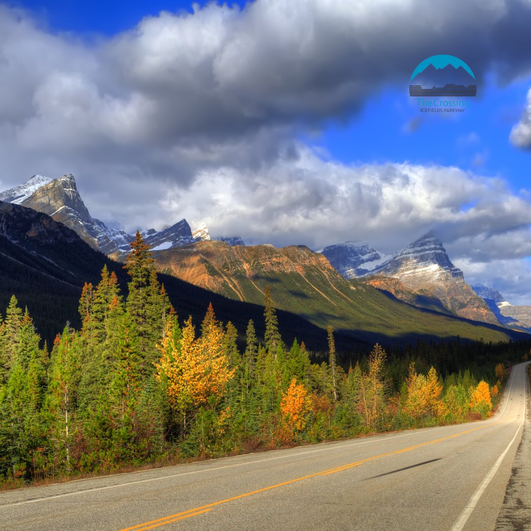 Our season will soon be coming to an end, but there is still time to take advantage of these #October 1 & #2nightpackages! Take a beautiful #fallroadtrip on the #IcefieldsParkway in #BanffNationalPark & stay & eat with us!
thecrossingresort.com/features/categ…

#hoteldiscounts #resortdiscounts