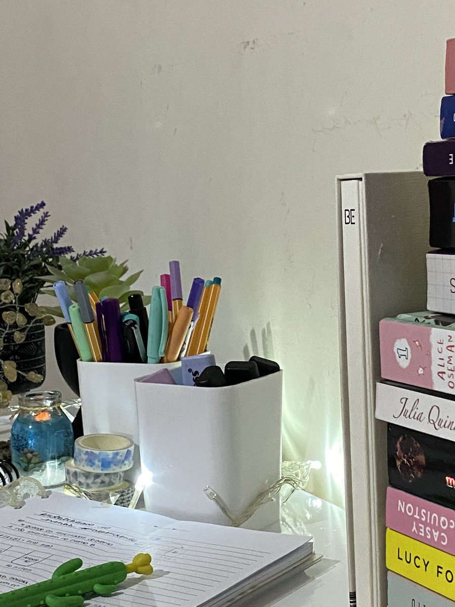 physimary's tweet image. eu amo TANTO o meu cantinho