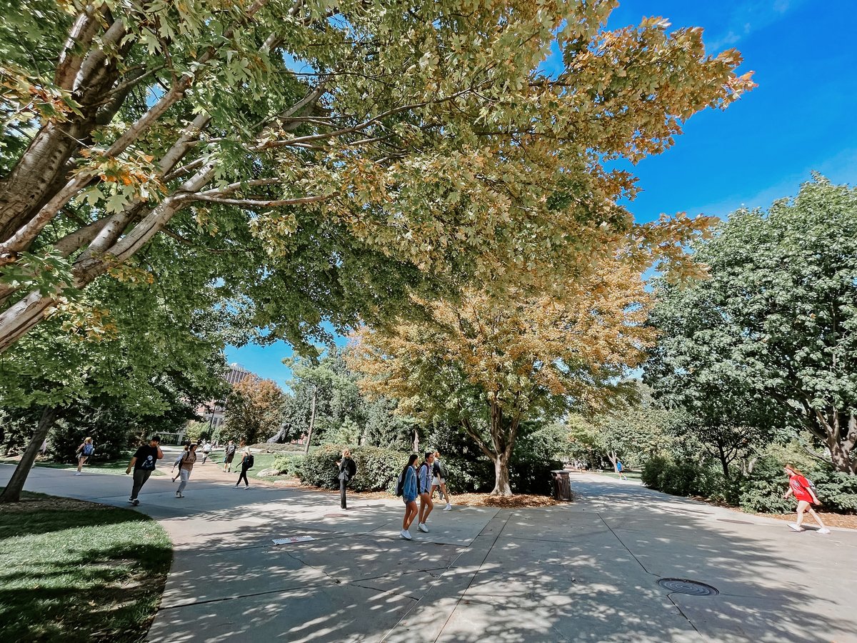 𝘍𝘢𝘭𝘭ing in love with these views 🍂✨