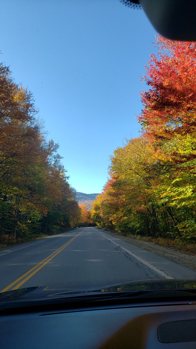 MegGarabrant's tweet photo. The foliage in NH is beautiful right now! https://t.co/YHAoHik10n
