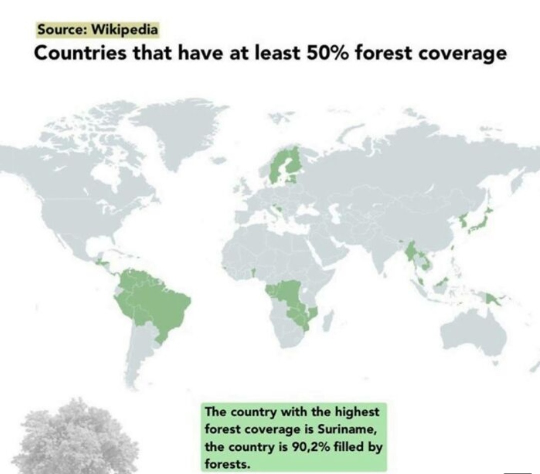 #Forests #forestcover #SaveOurForests #Suriname