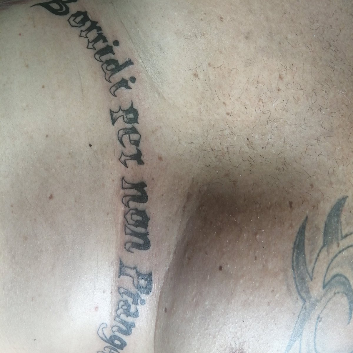 Edmaximo1Ed's tweet image. #NewProfilePic