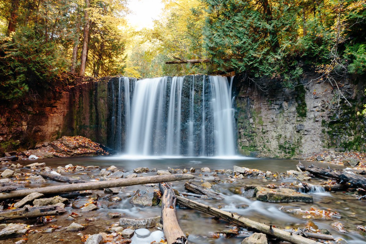 Vitums_'s tweet image. 