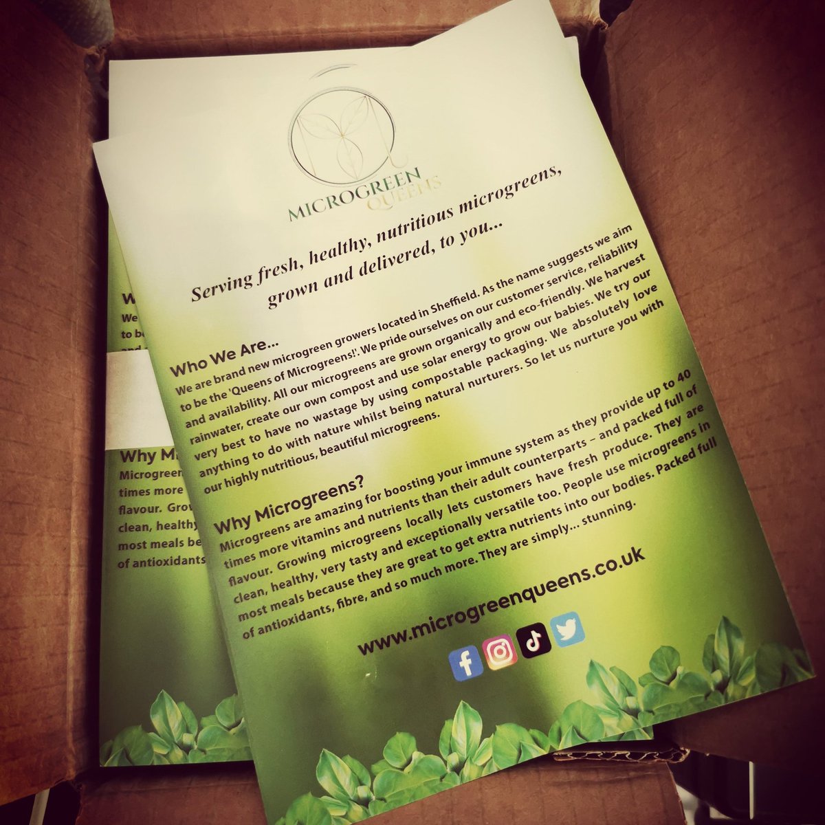 Don't they look soooo good 😍 #sheffield #healthy #nutritional #microgreens #delivery #Chesterfield #derbyshire #SouthYorkshire #Uk