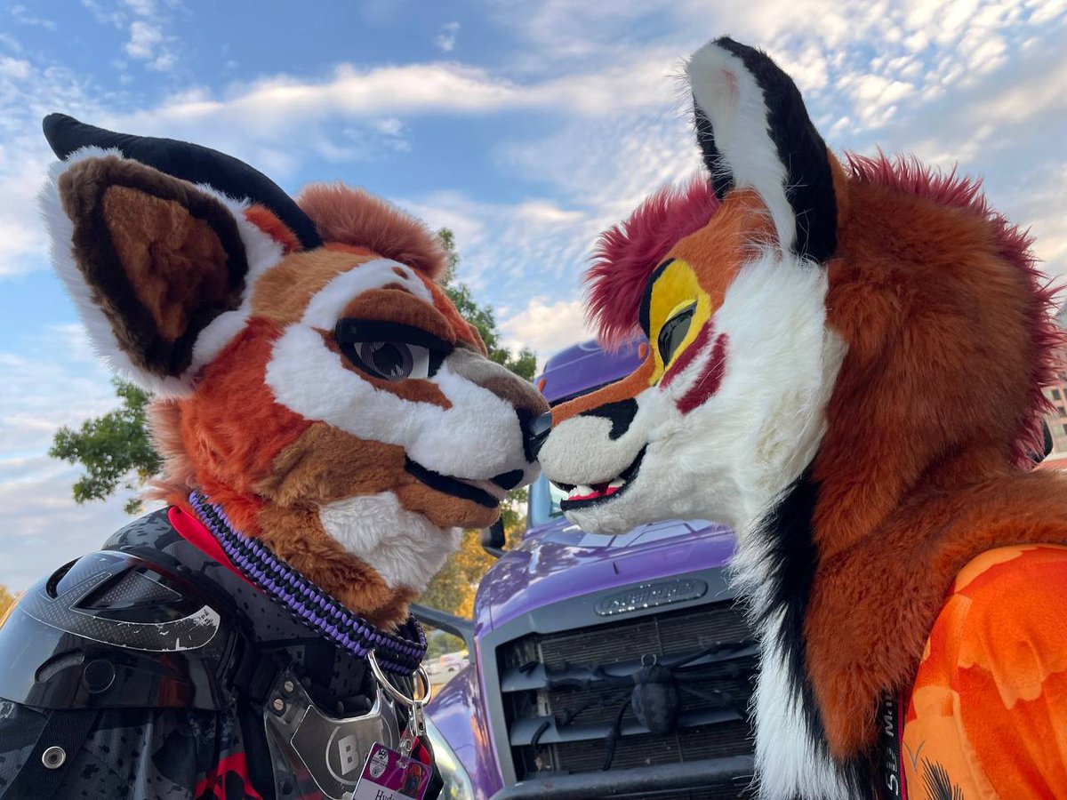 hydros and kage boop 
#ACFI2022 #ACFI #furry