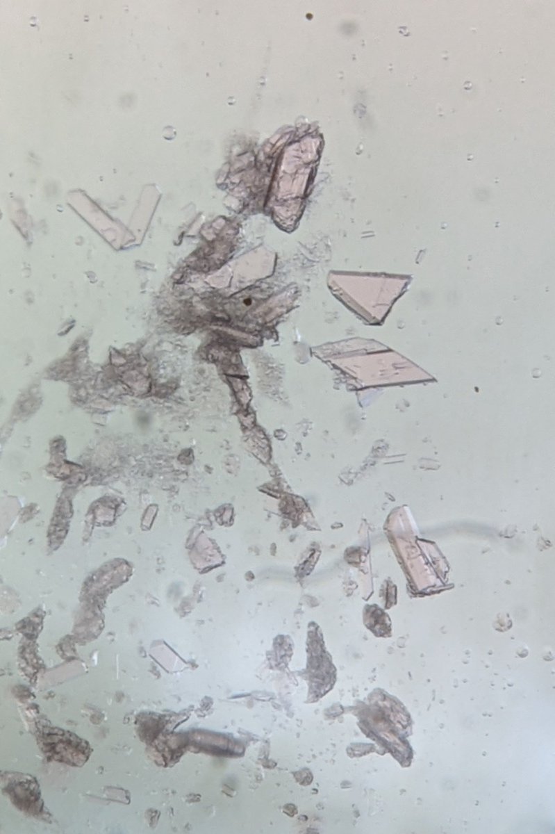 After struggling with this americium reaction for 2 weeks, I've finally got the very exciting results I was after! #fblockrocks #americium @TEAS_Actinides