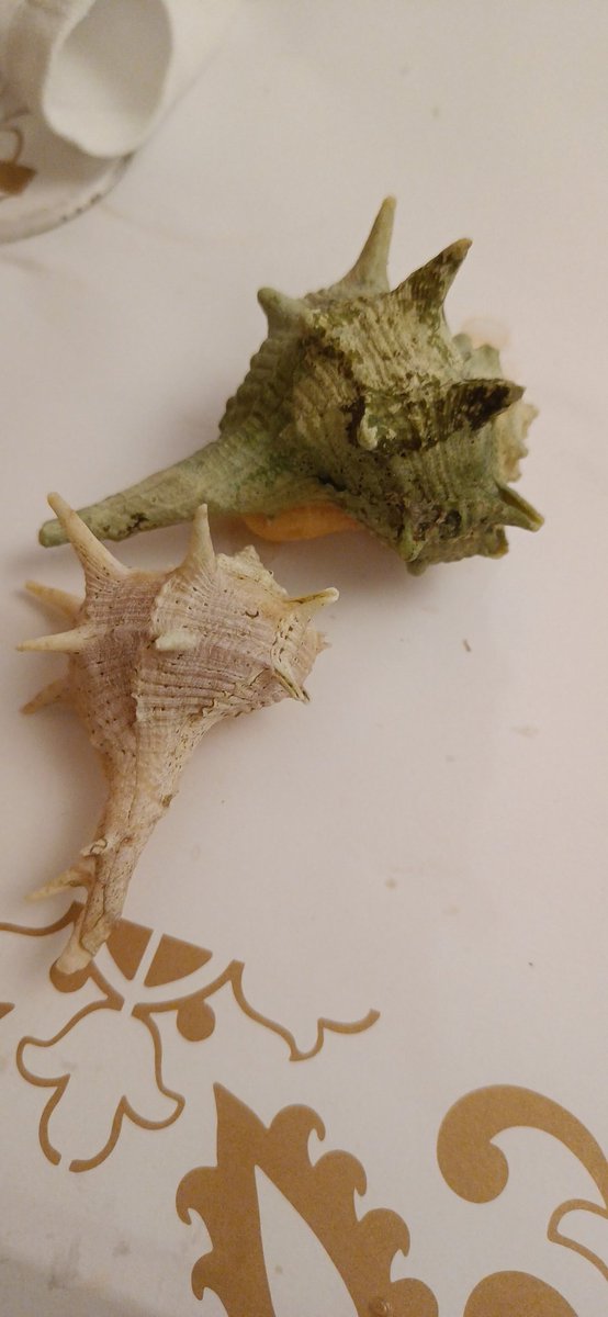 Danny Ivatt tweet media