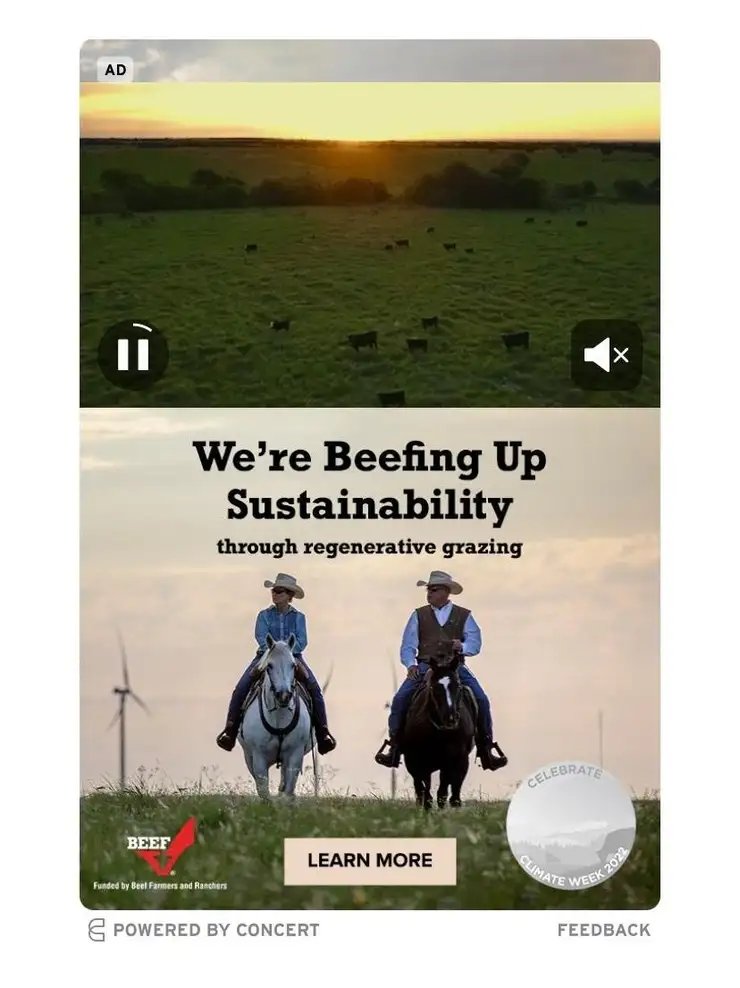 curious_founder's tweet image. Meat companies are trying to convince people that beef production looks like the image on the left. 

But virtually all of the beef people eat is raised on factory farms like the image on the right.

"Sustainable beef" is a complete fiction.