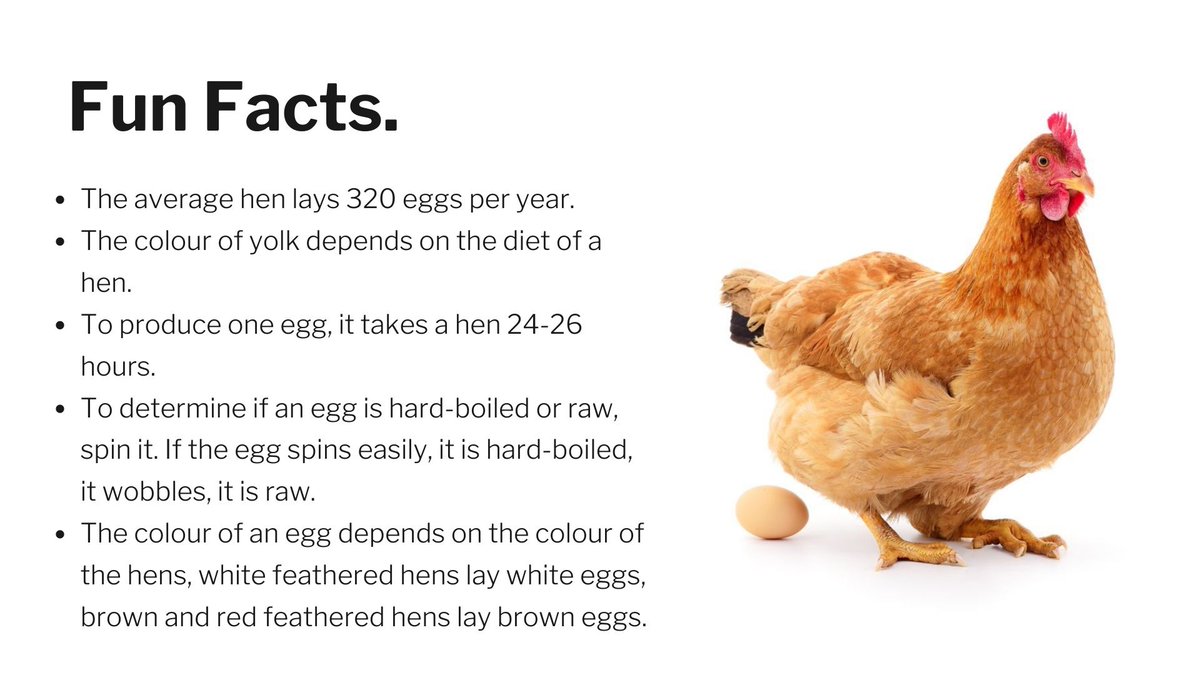 Friday October 14th is @WorldEgg365 Day.