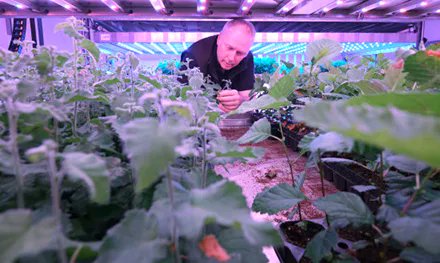 West Wind Hardwood tweet media