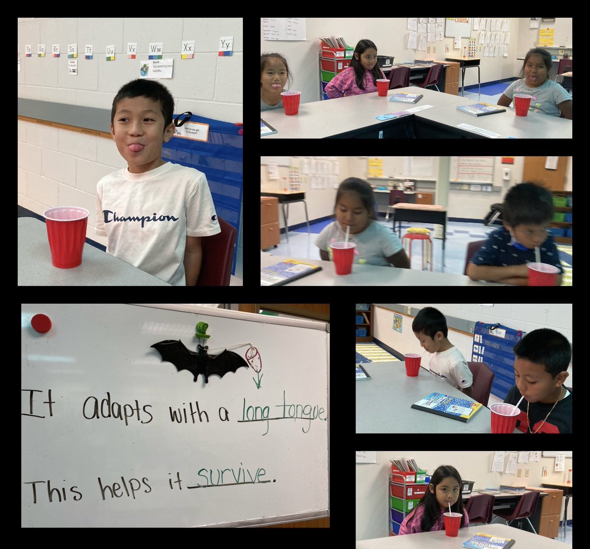 Mrs. Davidson tweet media