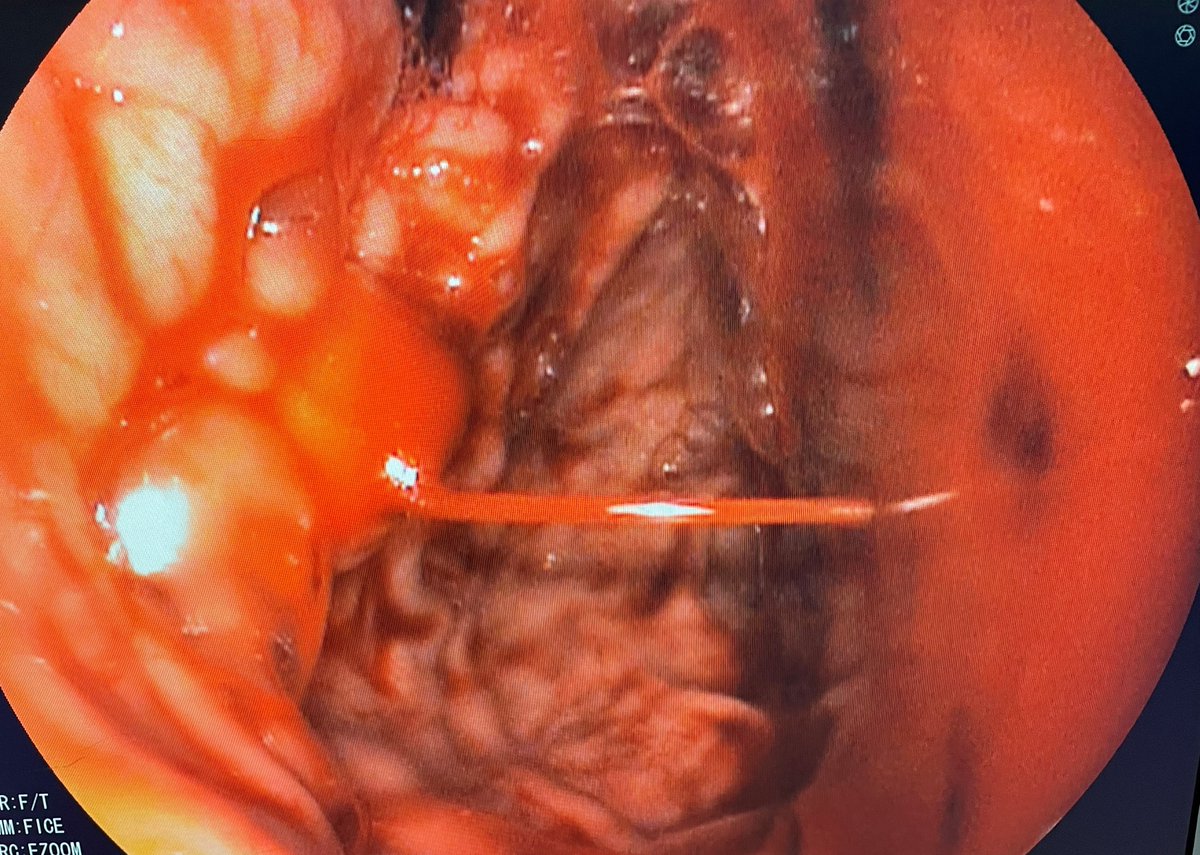 Aegastro tweet media