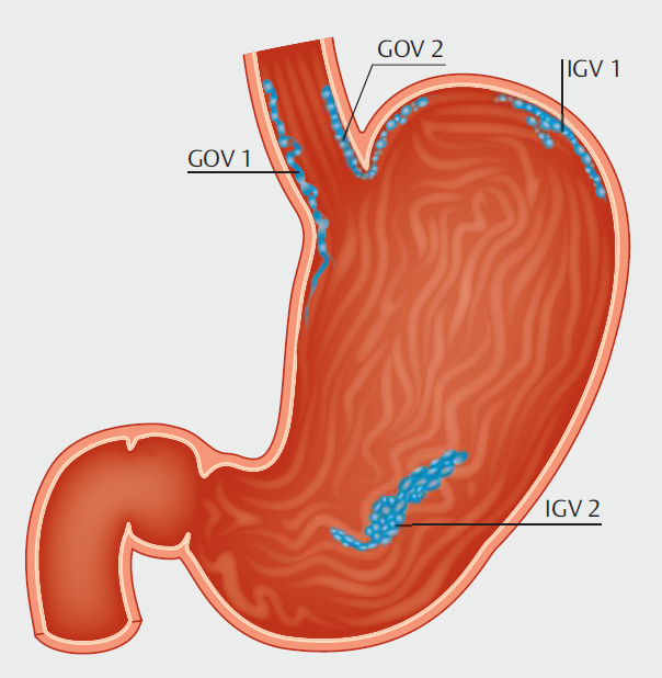 Aegastro tweet media