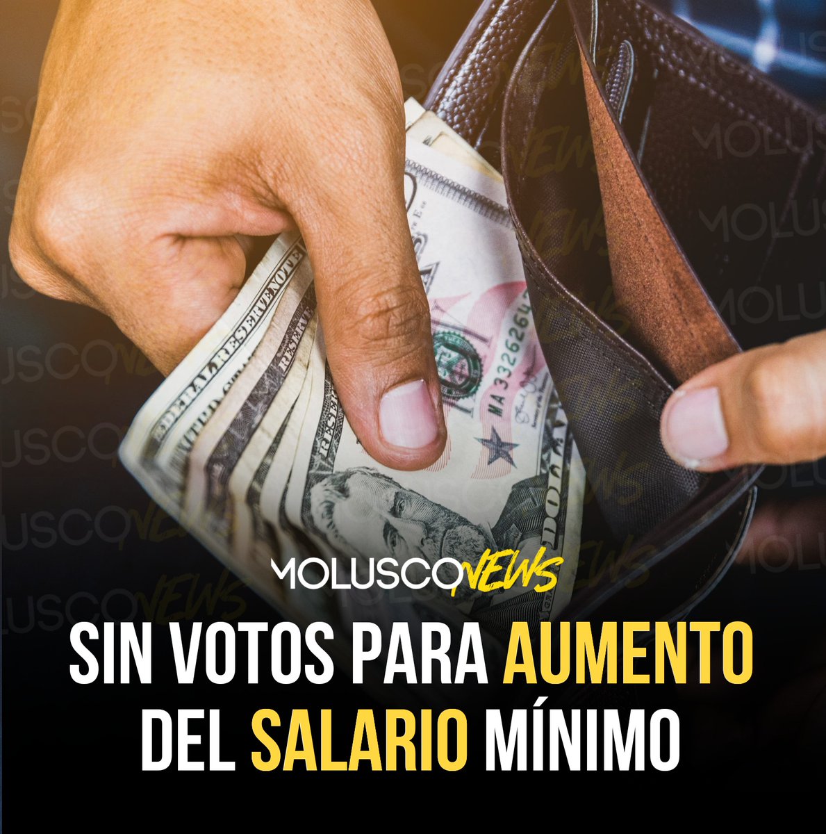 Molusco tweet media