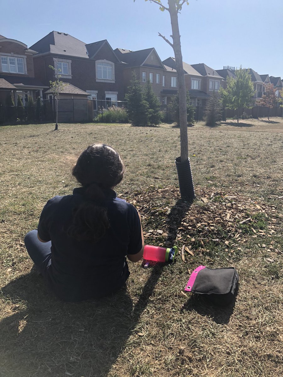 We took our Gratitude paragraphs outside for writers workshop today! Ask your child about topic sentences and closing remarks. 📕 ✍️ ☀️