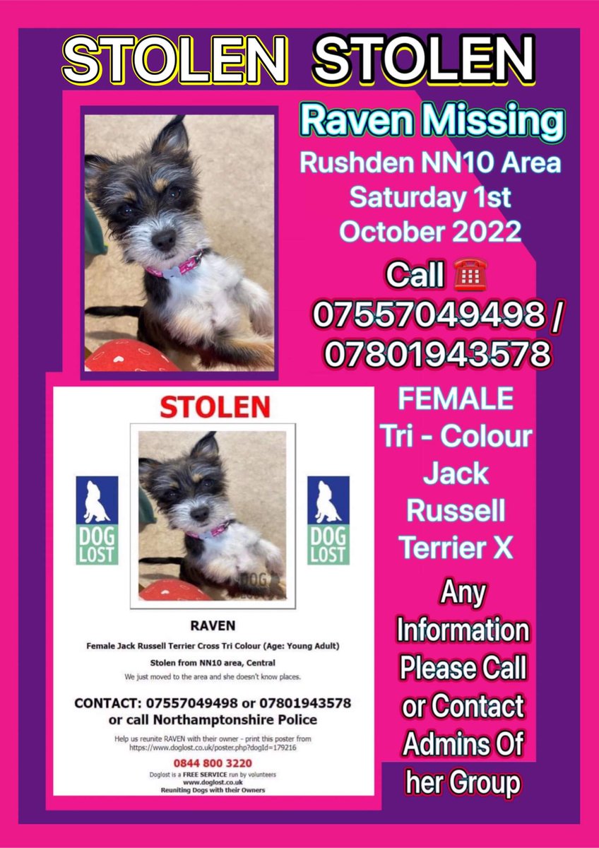 ‼️📢  URGENT 📢‼️

#STOLEN #JRT #FindRaven 💔💔💔