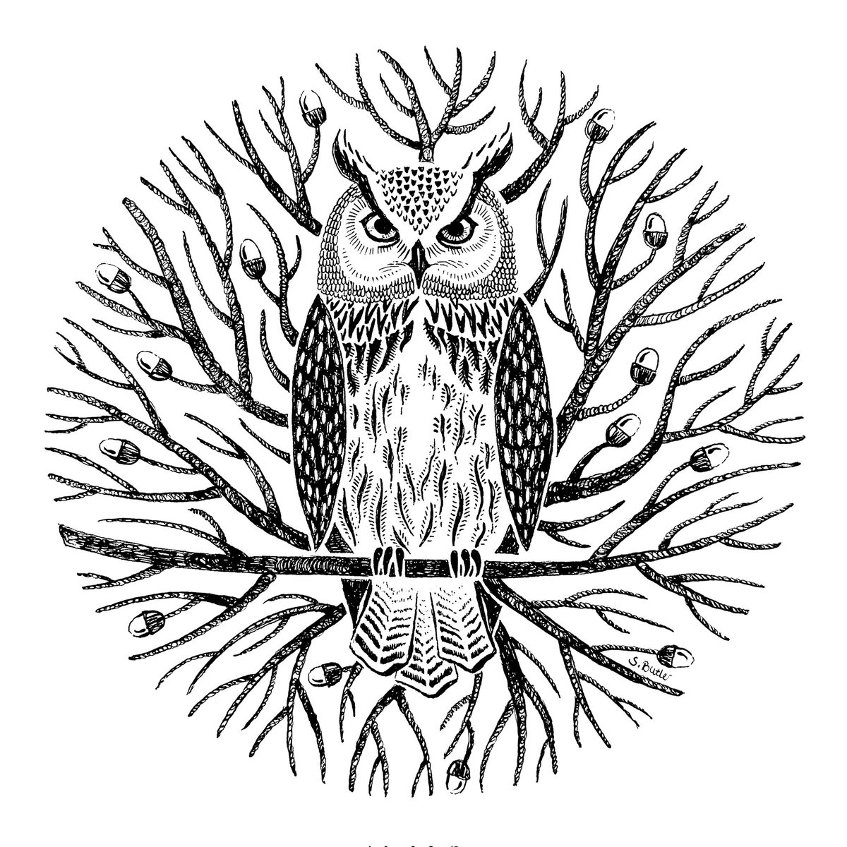 #inktober Day 11: Eagle 🦉🪶
Well.. I couldn't not draw an Eagle owl.. 😅😍 #inktober2022 #inktober2022eagle #inktoberday11 #inktober2022day11 #eagleowl #eurasianeagleowl #birdillustration #owlart #woodlandillustration #fineliner #penandink #inkwork #devonartist #devonart
