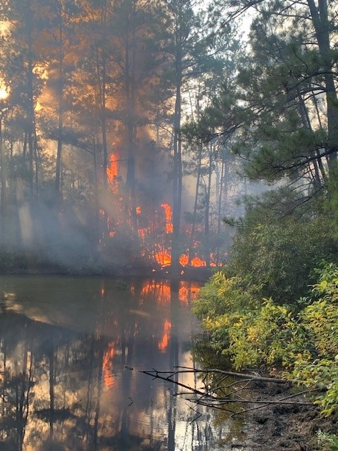Yesterday, Texas A&M Forest Service responded to 10 wildfires for 20.4 acres burned. Though surface moisture is forecast to rise, there is a low potential for wildfires in regions of Texas with dry vegetation, including SE, NE, North, Central Texas and the Western Pineywoods.