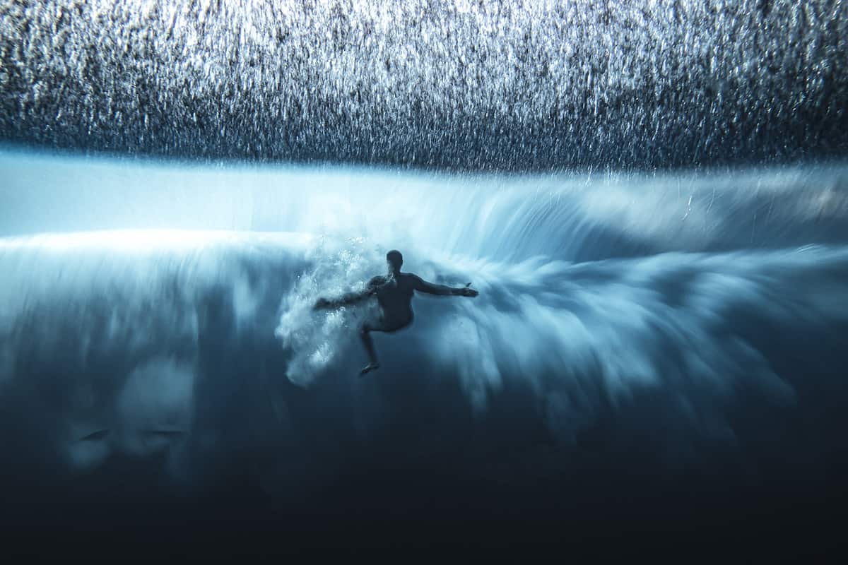 creapills's tweet photo. Découvrez les magnifiques photographies sous-marines lauréates de l’Ocean Photographer of the Year 2022

Voir tous les lauréats : https://t.co/Wm4YTgfLnA https://t.co/ZJN0FXl0RS