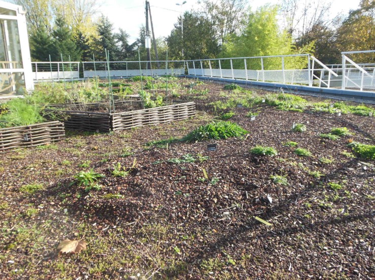 Centre technique du Parc Georges Valbon à la Courneuve © Conseil départemental 93