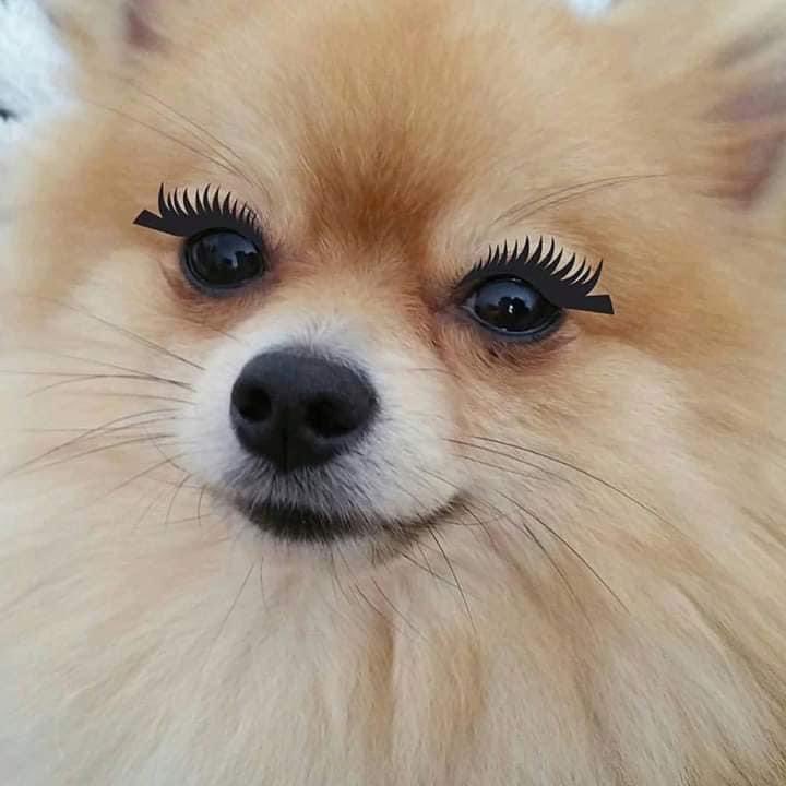 Guarromantico_'s tweet image. En mi foto de perfil // Todos los días