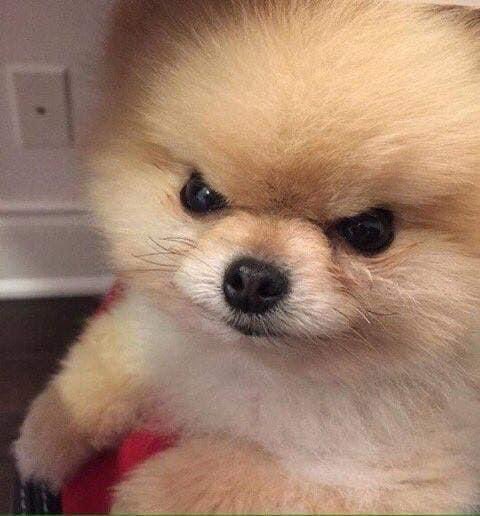 Guarromantico_'s tweet image. En mi foto de perfil // Todos los días