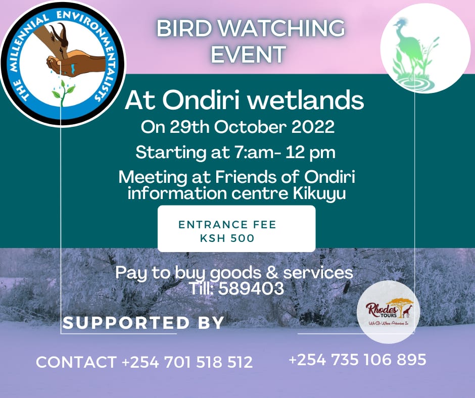 Lydiakalekye3's tweet photo. @OfOndiri bird watching loading!!!! Tell a friend to tell a friend!!! Remember to put on the boots @Patkiash @peter_kamau001 @AchesaCheryl @EastStay @TobiasOdhacha @ashitee @flpkenya1 @MazingiraHub @SamuelMuoria https://t.co/Mw76UrYCK3