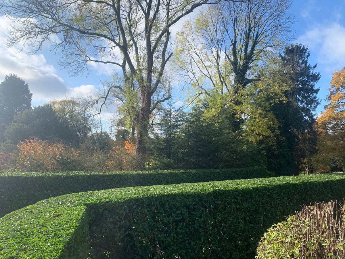 Some impressive topiary work carried out by our maintenance team! #Topiary #LandscapeMaintenance #Landscaping