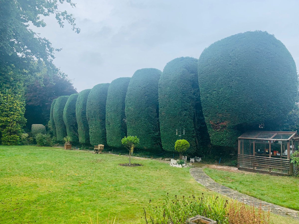 pro_mdx's tweet photo. Some impressive topiary work carried out by our maintenance team! #Topiary #LandscapeMaintenance #Landscaping https://t.co/ziL0oQrUQW