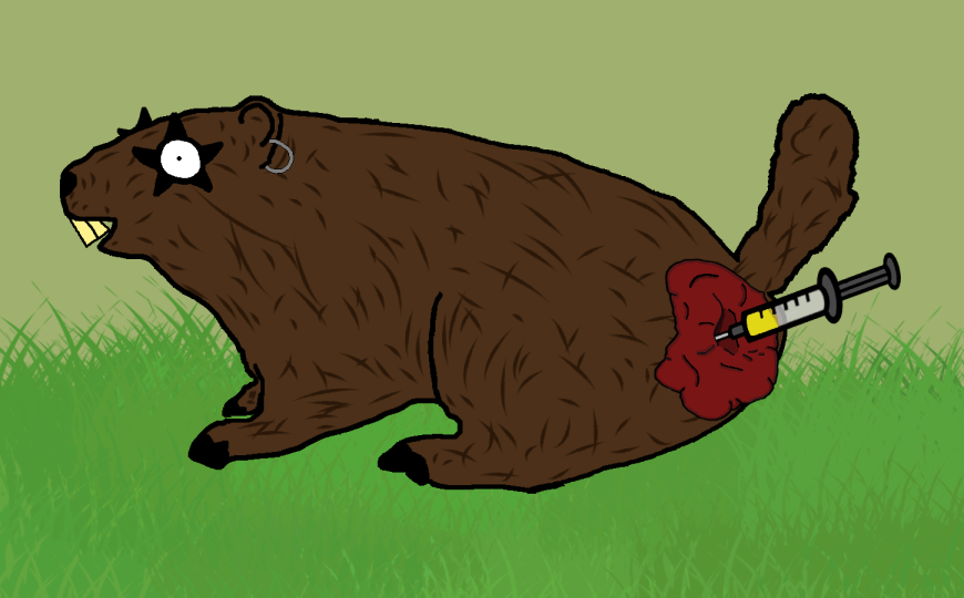 Fill The Groundhogs NFT tweet media