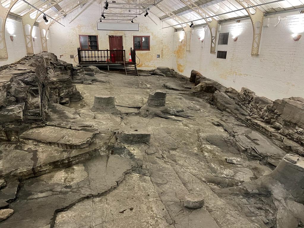 Fossil Grove in Victoria Park, Glasgow will be open this Sunday from 12:00 till 4:00

Kids activities, fossil displays will be on 🦖🦕🌴🌿