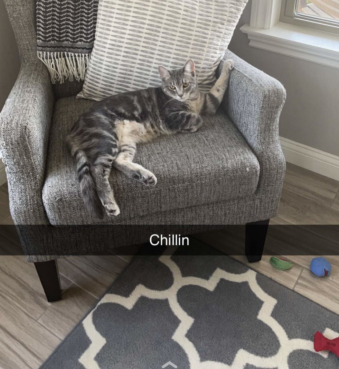 N.J. Gallegos is Dr. Spooky 👻💉💊 (@drspooky_er) on Twitter photo 