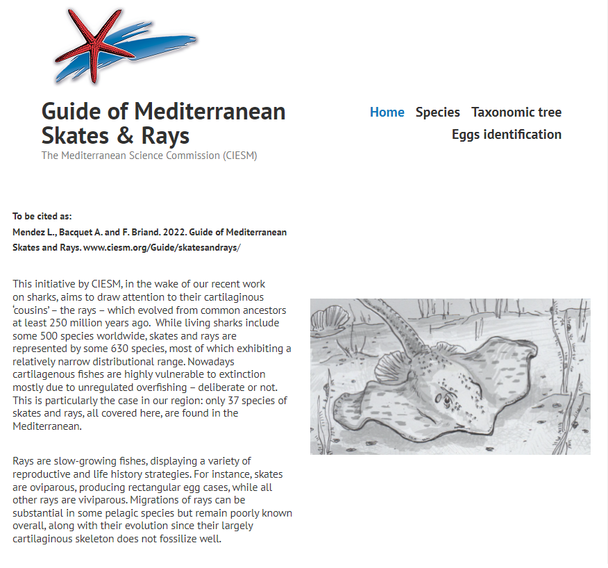 lorianemendez's tweet photo. Our Guide of Mediterranean Skates & Rays is now online!! The outcome of months of work at @MedScienceCom. Enjoy and share!! https://t.co/XwDILFsikX
#skates #rays #MediterraneanScienceCommission https://t.co/083G761Ubz