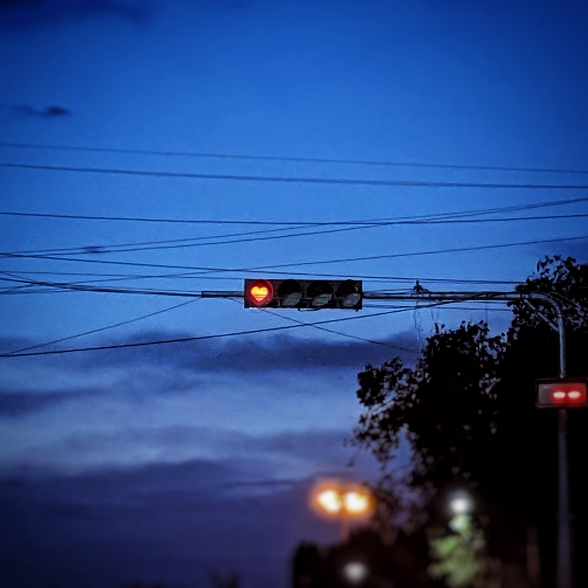 Never smiled at a red traffic light before this! What a lovely sight! Whoever did this #infinitelove and #freehugs to you ❤️

#spreadlove #bengaluru #mgroad #art #heart #thisisbengaluru #redsignal #trafficlight #trafficlights #lovelyday #mademyday #whistleworthy #TeamPixel