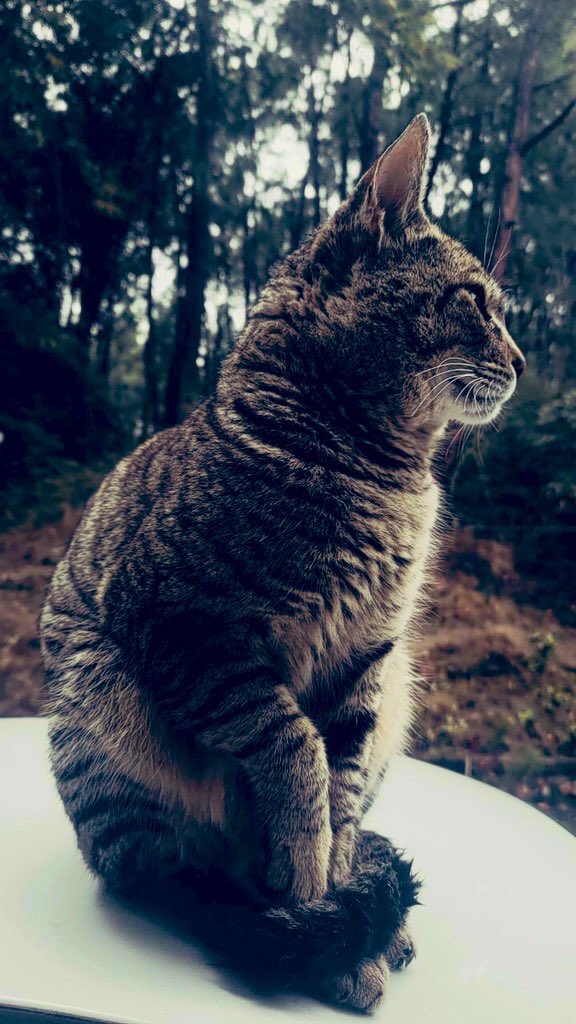 <a href="/Yulichka1076/">Юлия</a> <a href="/RaeisiAyoub/">Ayoub Raeisi</a> <a href="/XQK4QWAD0kfwlhE/">Надежда</a> 🙏💐😊