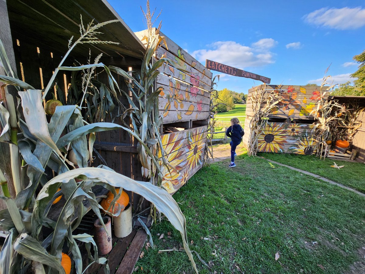 Max Dighton @maxd80@mastodonapp.uk tweet media