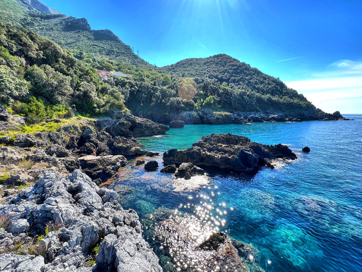 TRAVELDAVEUK tweet media