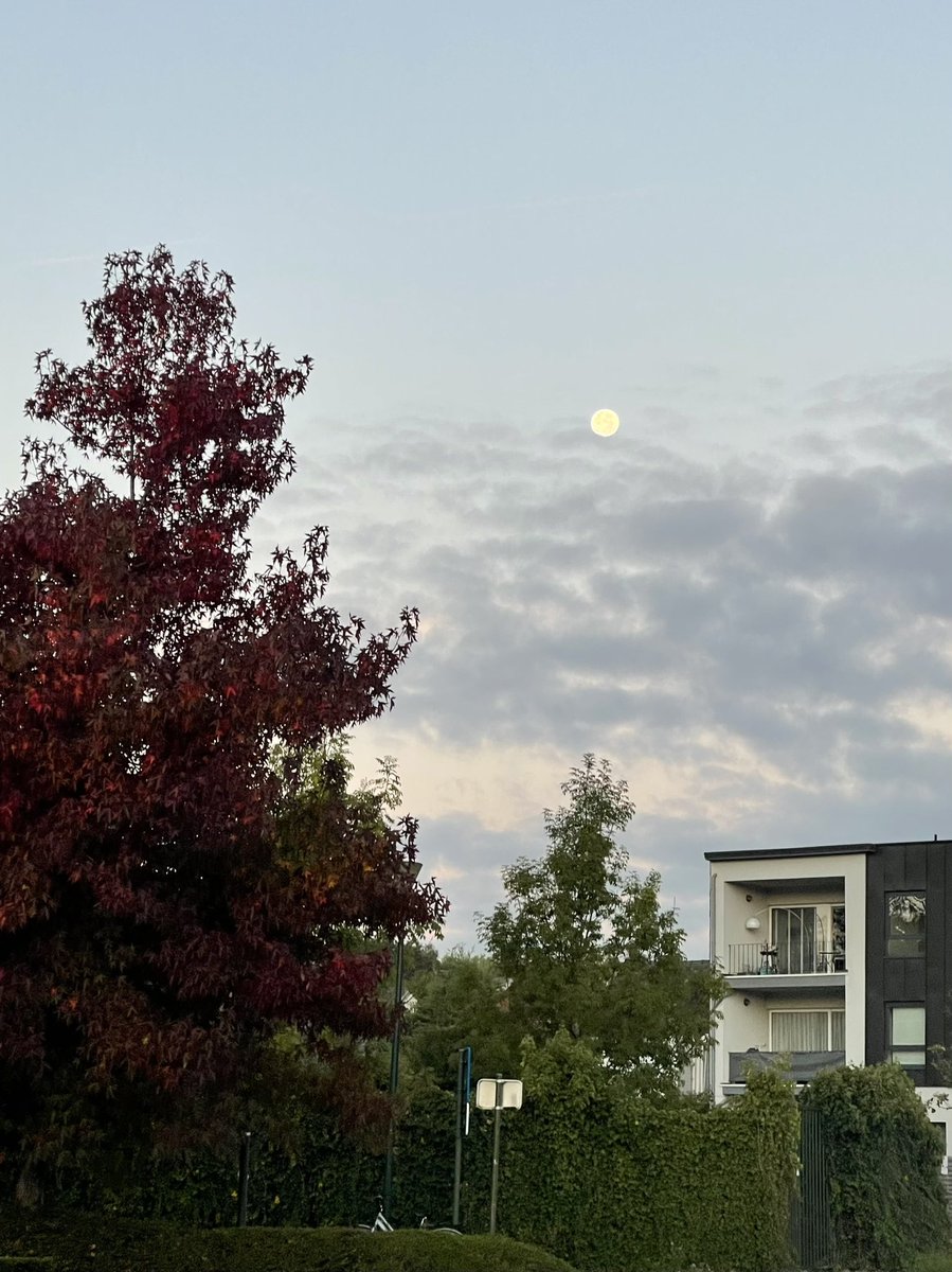 HHSsciteacher's tweet photo. My view to work this morning. ❤️🍁🇧🇪 https://t.co/66yP9Dd17E