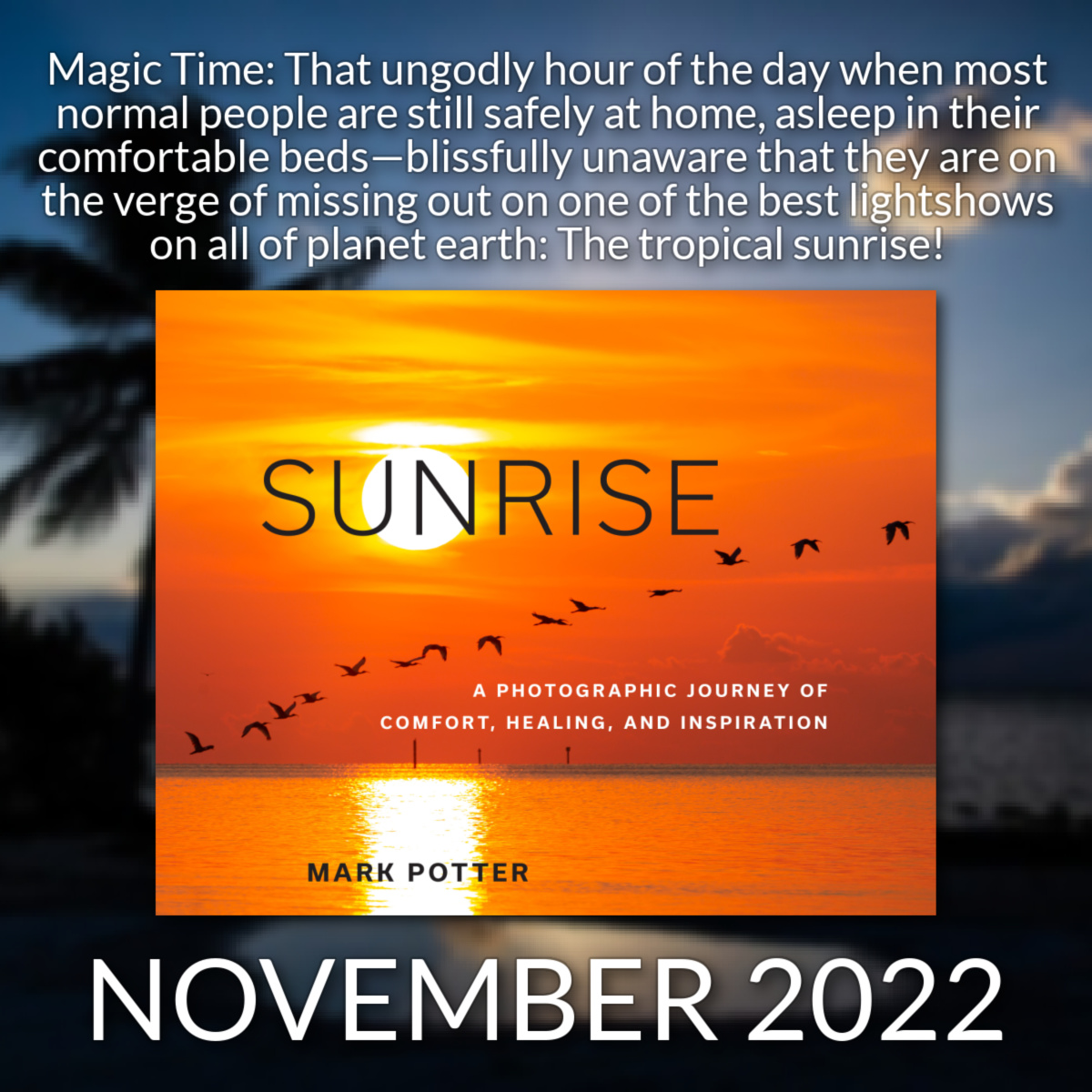 _PineapplePress's tweet photo. Sunrise: A Photographic Journey of Comfort, Healing, and Inspiration is coming this November 2022, available wherever books are sold!

#pineapplepress #books #photography #sunrise #florida https://t.co/26BGHoy5YP