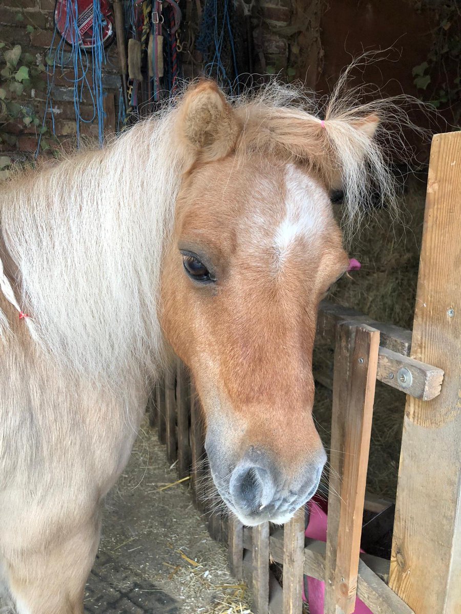 Budget accommodation available at half-term for self- catered break for any #Hackney families or staff. Monday-Friday 24-28th October. #SEND Short Breaks especially welcome. <a href="/HackneyHITsquad/">HackneyHITsquad</a> <a href="/famholcharity/">Family Holiday Charity</a>