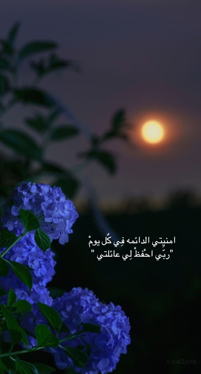 Um Gala (@moza66418867) on Twitter photo 