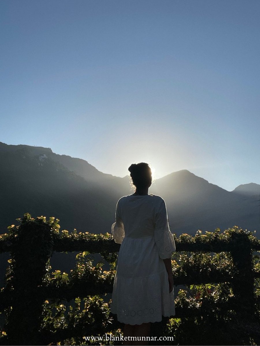 blanketmunnar's tweet photo. Surrender yourself to the pristine nature of Munnar...

Enjoy the sunrise in Chokramudi hills from our Daniel Munroe high altitude Park!!!

#experiencemunnarlikeneverbefore 

#sunrise #sunset #voot #sunriseview #sunriseviewpoint #munnarsunrise #sunrisephotography #blanketmunnar https://t.co/TbDtlajja7