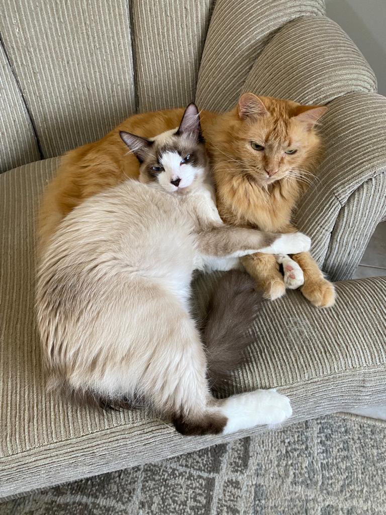 heclelnaj's tweet photo. Tipo de foto que eu recebo no meu almoço… 🥰 https://t.co/IwzhR07FeE