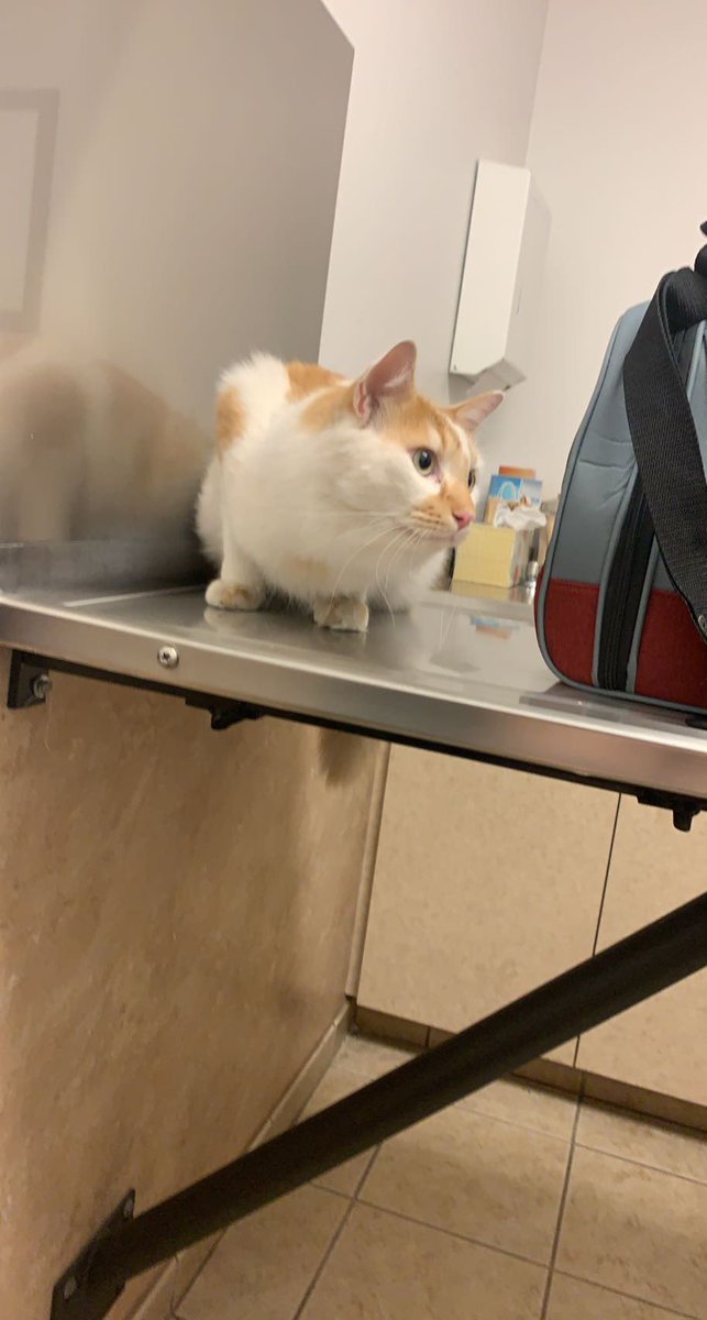 Buffy ☆ tweet media