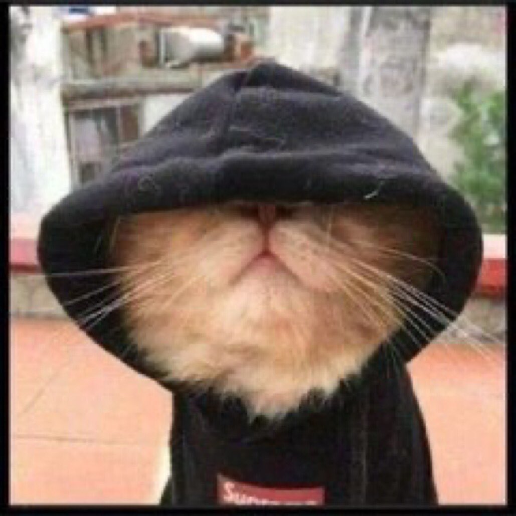 Madfrawk's tweet photo. @chichie_vee Mine z coz mface wa bsty anonetsa so i got him😂 https://t.co/Hw38hgBueH