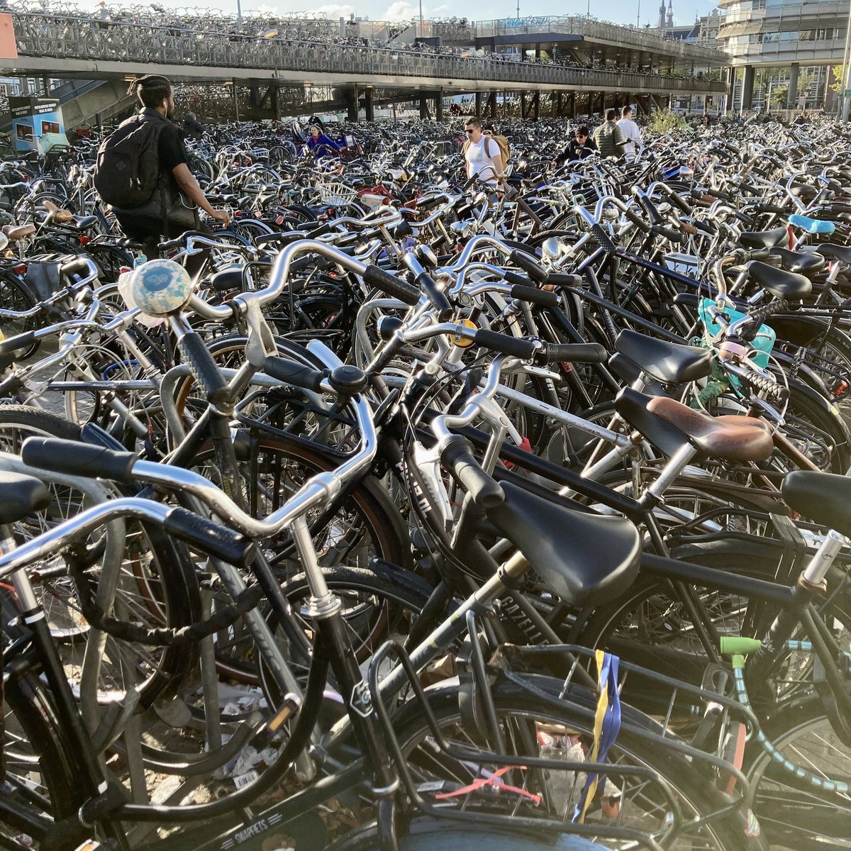 35km in the saddle &amp; not a single helmet, drop handlebar or Lycra seen.  I’m not a cyclist but I can appreciate fab cycling infrastructure in Amsterdam.