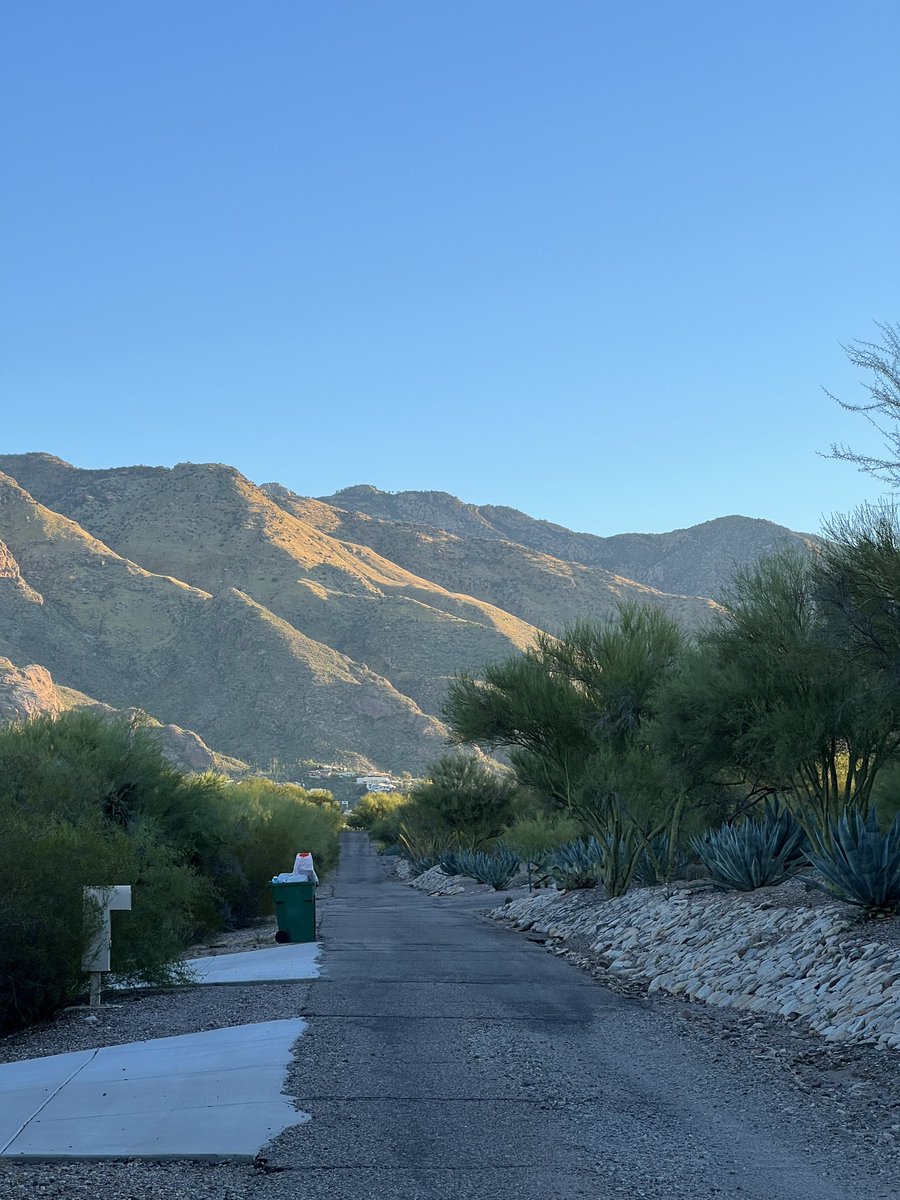 Good Morning from Tucson for #NAAEE2022 
Come check out all the presentations of our lab members