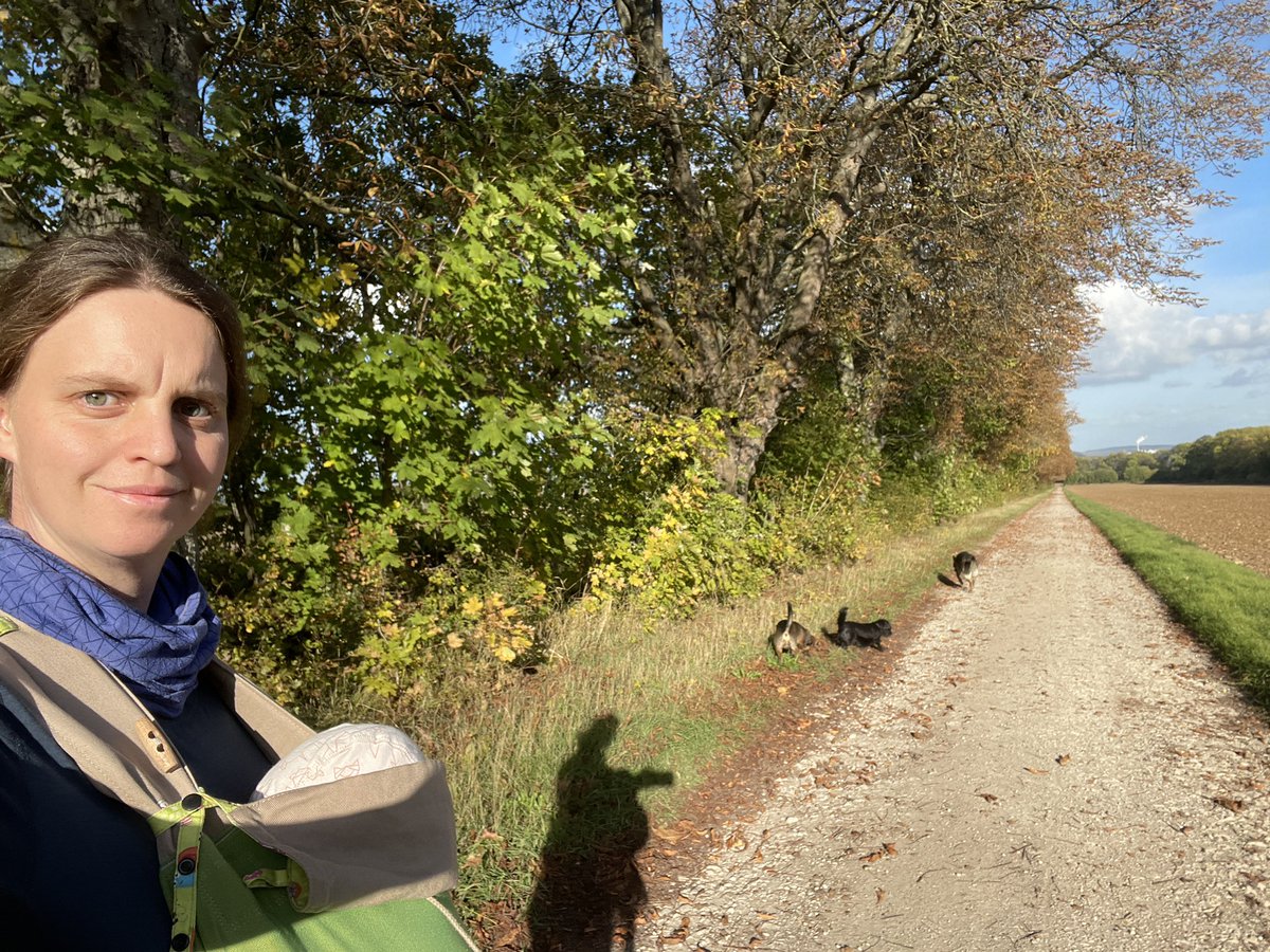 Gerade die Aufzeichnung des ersten Termins der Barriere-Scout Ausbildung nachgehört und gedanklich unsere  <a href="/kynologisch/">KynoLogisch</a> Checkliste zur Barrieren im Hundetraining (kynologisch.net/vielfalt/ ) ergänzt. Ich freu mich schon auf weiteren Input heute Abend